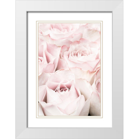 Pink Roses 05 White Modern Wood Framed Art Print with Double Matting by 1x Studio III