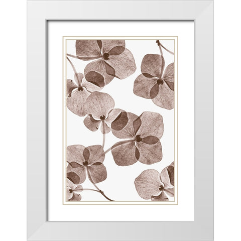Botanical 4 White Modern Wood Framed Art Print with Double Matting by Lenka