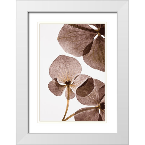 Botanical 5 White Modern Wood Framed Art Print with Double Matting by Lenka
