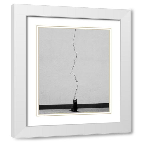 Cat Thoughts White Modern Wood Framed Art Print with Double Matting by Alizolghadri93