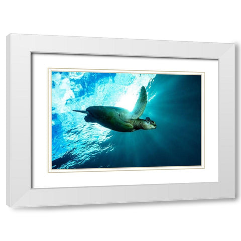 Into The Light White Modern Wood Framed Art Print with Double Matting by Melesan, Serge