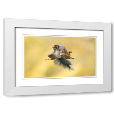 Ninja Style White Modern Wood Framed Art Print with Double Matting by Colemont, Niki