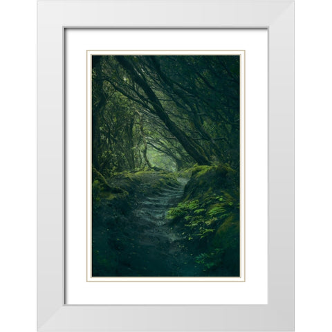 Entering Fangorn White Modern Wood Framed Art Print with Double Matting by De La, Javier