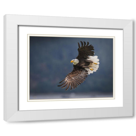 King Of The Sky White Modern Wood Framed Art Print with Double Matting by Xu, Nancy