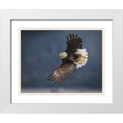 King Of The Sky White Modern Wood Framed Art Print with Double Matting by Xu, Nancy
