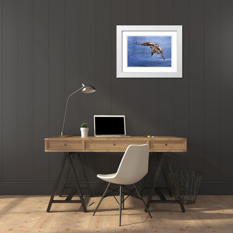 Osprey White Modern Wood Framed Art Print with Double Matting by Huang, Tao