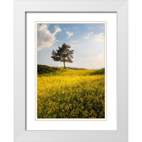 King Of The Hill White Modern Wood Framed Art Print with Double Matting by Lindsten, Christian