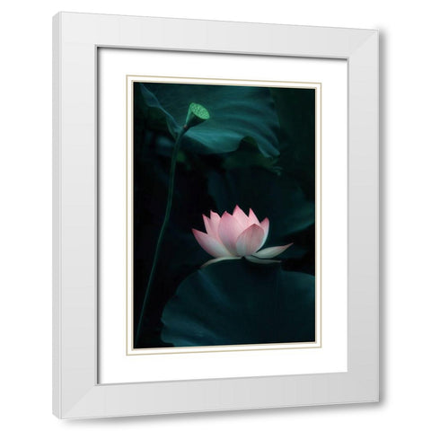 Lotus Flower White Modern Wood Framed Art Print with Double Matting by W., Catherine