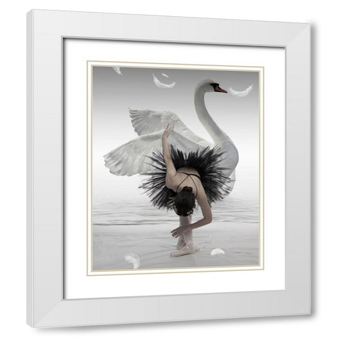 Swan Lake White Modern Wood Framed Art Print with Double Matting by Mieke