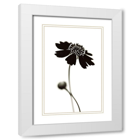 Once I Was A Black. White Modern Wood Framed Art Print with Double Matting by Salem, Saad
