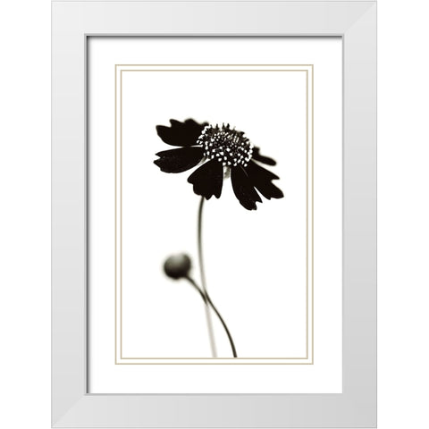 Once I Was A Black. White Modern Wood Framed Art Print with Double Matting by Salem, Saad