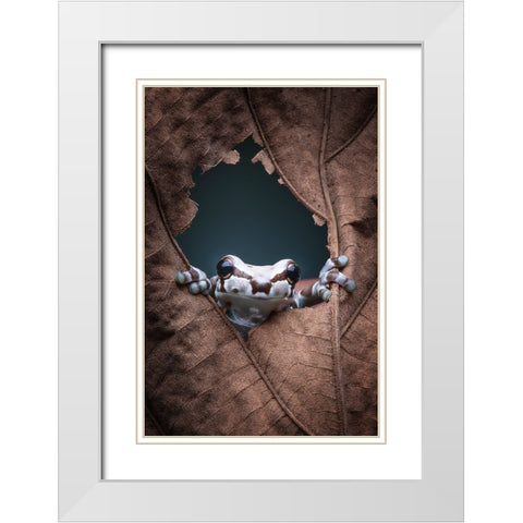 hello... White Modern Wood Framed Art Print with Double Matting by Widyantini, Rini