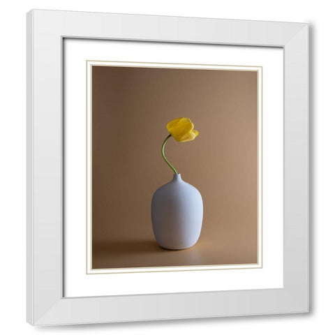 Tulip White Modern Wood Framed Art Print with Double Matting by Li, Qing
