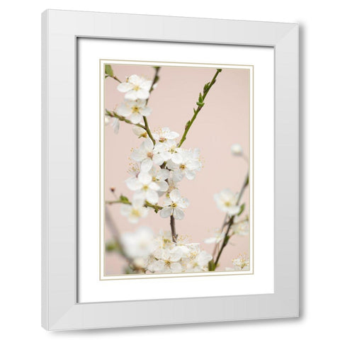 Cherry Tree Flowers White Modern Wood Framed Art Print with Double Matting by 1x Studio III