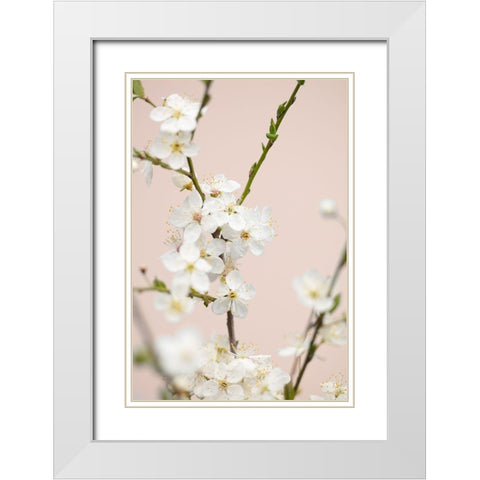 Cherry Tree Flowers White Modern Wood Framed Art Print with Double Matting by 1x Studio III