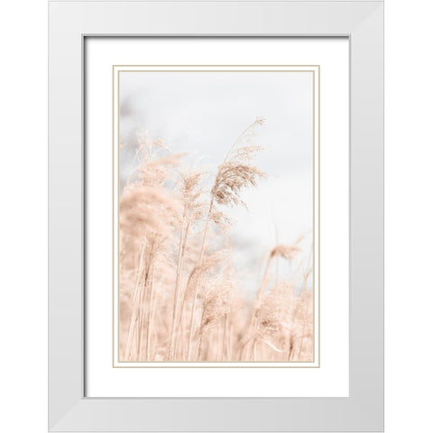 Grass Reed and sky_1 White Modern Wood Framed Art Print with Double Matting by 1x Studio III