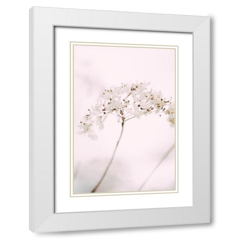Soft dried flower_pink White Modern Wood Framed Art Print with Double Matting by 1x Studio III