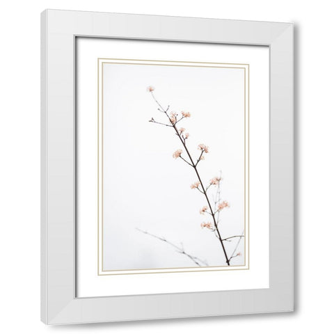 Twig with small flowers White Modern Wood Framed Art Print with Double Matting by 1x Studio III