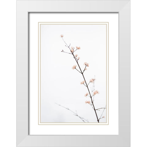 Twig with small flowers White Modern Wood Framed Art Print with Double Matting by 1x Studio III