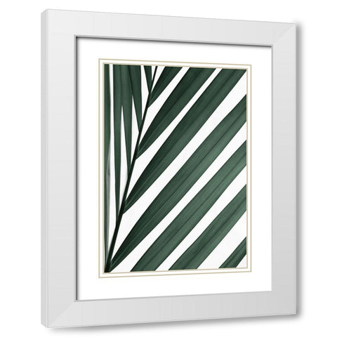 Graphic palm leaf_3 White Modern Wood Framed Art Print with Double Matting by 1x Studio III