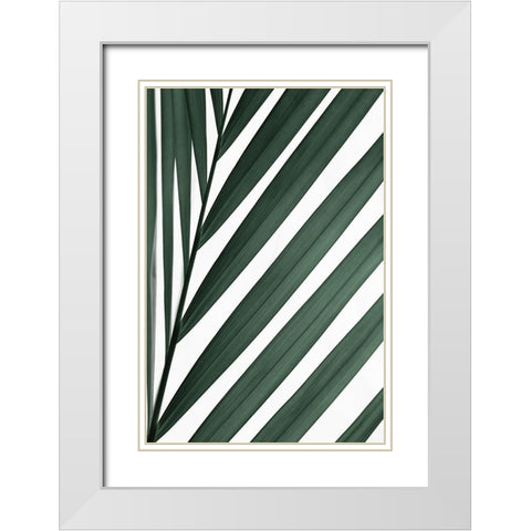 Graphic palm leaf_3 White Modern Wood Framed Art Print with Double Matting by 1x Studio III