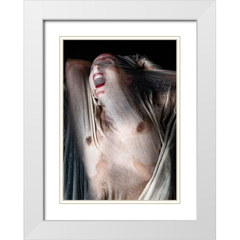 Screamer White Modern Wood Framed Art Print with Double Matting by Dixon, Colin
