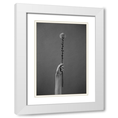 Golden-Daisy White Modern Wood Framed Art Print with Double Matting by Frolova, Antonida