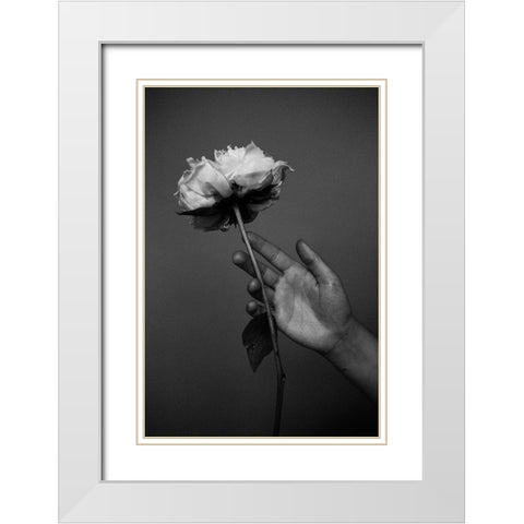 Peony White Modern Wood Framed Art Print with Double Matting by Frolova, Antonida