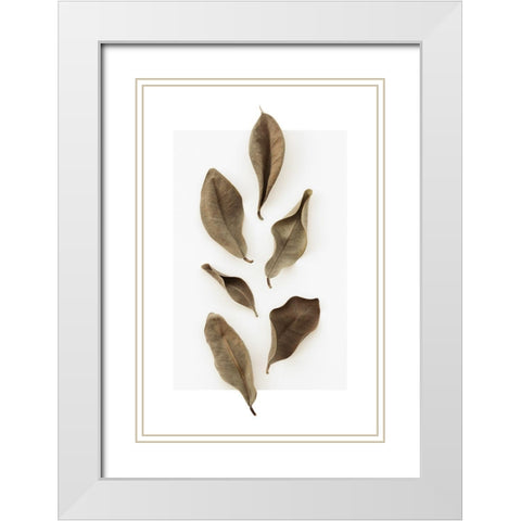 Dried Leaves_1 White Modern Wood Framed Art Print with Double Matting by 1x Studio III