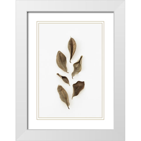Dried Leaves_2 White Modern Wood Framed Art Print with Double Matting by 1x Studio III