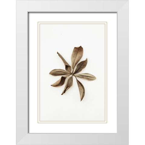 Dried Leaves_3 White Modern Wood Framed Art Print with Double Matting by 1x Studio III