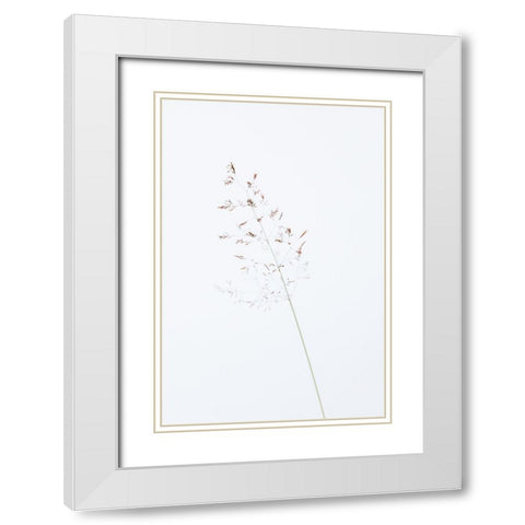 Single dried grass straw White Modern Wood Framed Art Print with Double Matting by 1x Studio III