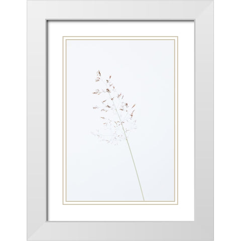Single dried grass straw White Modern Wood Framed Art Print with Double Matting by 1x Studio III