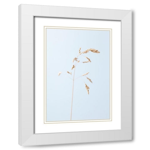 Dried single grass straw_2 White Modern Wood Framed Art Print with Double Matting by 1x Studio III
