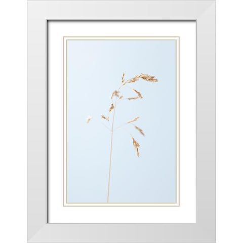 Dried single grass straw_2 White Modern Wood Framed Art Print with Double Matting by 1x Studio III