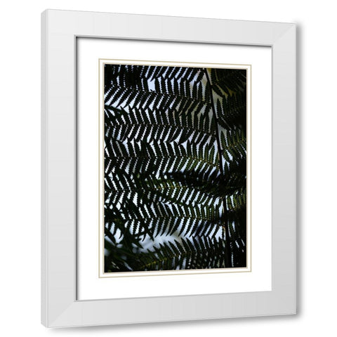 Fern Leaves_1 White Modern Wood Framed Art Print with Double Matting by 1x Studio III