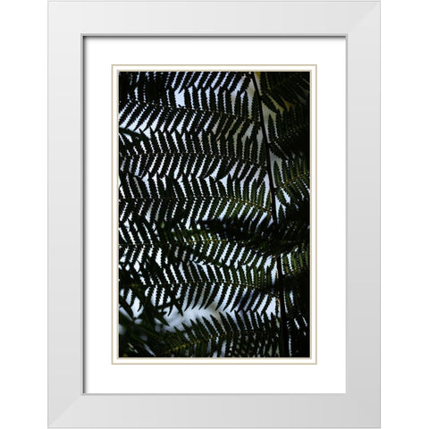Fern Leaves_1 White Modern Wood Framed Art Print with Double Matting by 1x Studio III