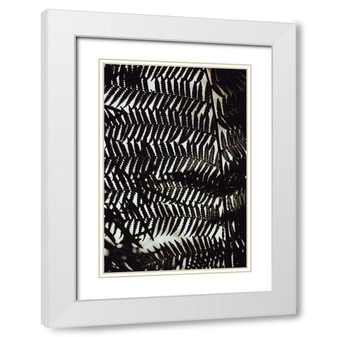 Fern Leaves_2 White Modern Wood Framed Art Print with Double Matting by 1x Studio III