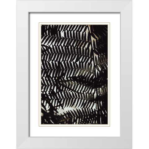 Fern Leaves_2 White Modern Wood Framed Art Print with Double Matting by 1x Studio III