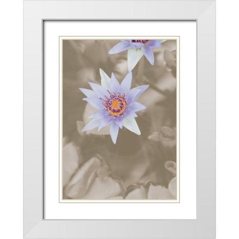 Purple Flower White Modern Wood Framed Art Print with Double Matting by 1x Studio III