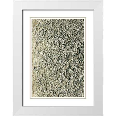 Moss White Modern Wood Framed Art Print with Double Matting by 1x Studio III