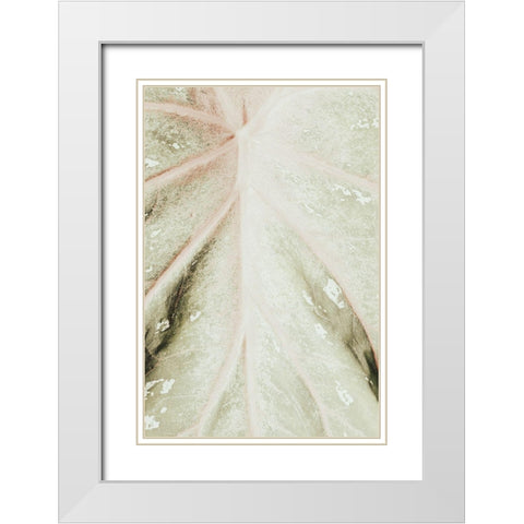 Light green leaf White Modern Wood Framed Art Print with Double Matting by 1x Studio III