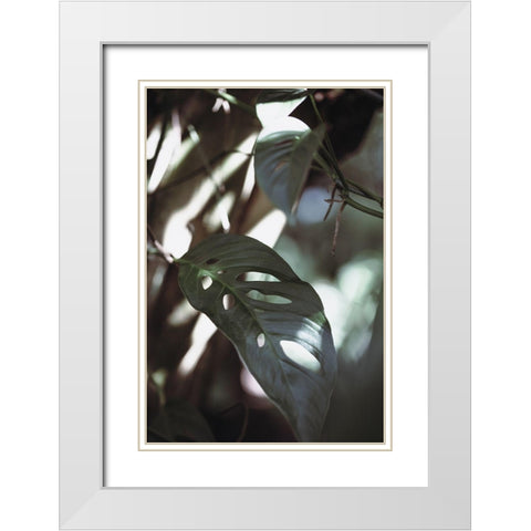 Monstrea Leaves Nature_1 White Modern Wood Framed Art Print with Double Matting by 1x Studio III