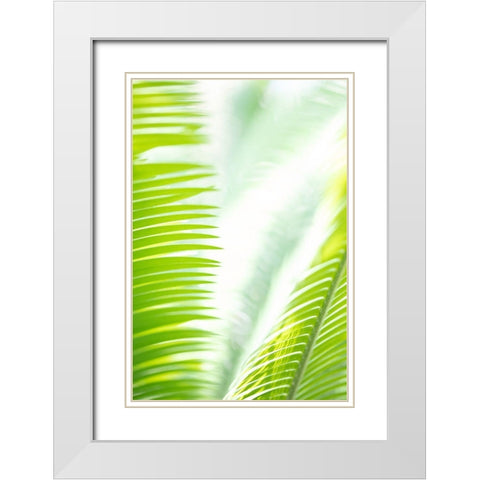 Light Palm tree leaves_1 White Modern Wood Framed Art Print with Double Matting by 1x Studio III