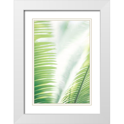 Light Palm tree leaves_2 White Modern Wood Framed Art Print with Double Matting by 1x Studio III