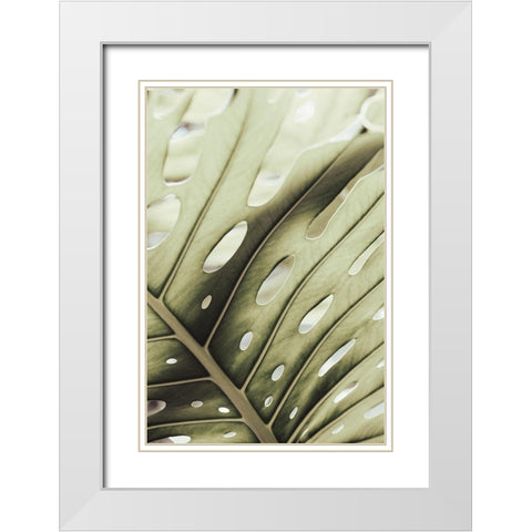 Graphic Leaf_2 White Modern Wood Framed Art Print with Double Matting by 1x Studio III