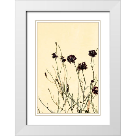 Withered flowers White Modern Wood Framed Art Print with Double Matting by 1x Studio III