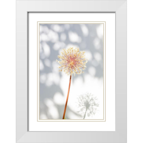 Withered flower-seed house_2 White Modern Wood Framed Art Print with Double Matting by 1x Studio III