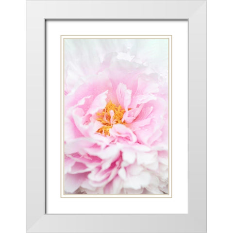 Peony_6 White Modern Wood Framed Art Print with Double Matting by 1x Studio III