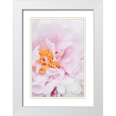 Peony_8 White Modern Wood Framed Art Print with Double Matting by 1x Studio III